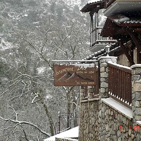 Hotel Olympios Zeus